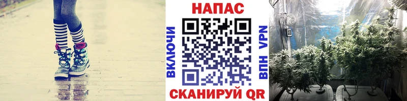 Бошки Шишки VHQ  Майский 